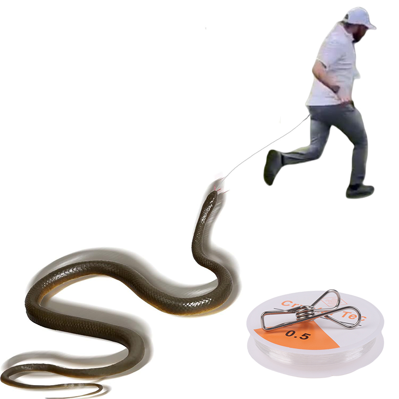 Outdoor Snake Prank with Strin - Prank Toys review and price