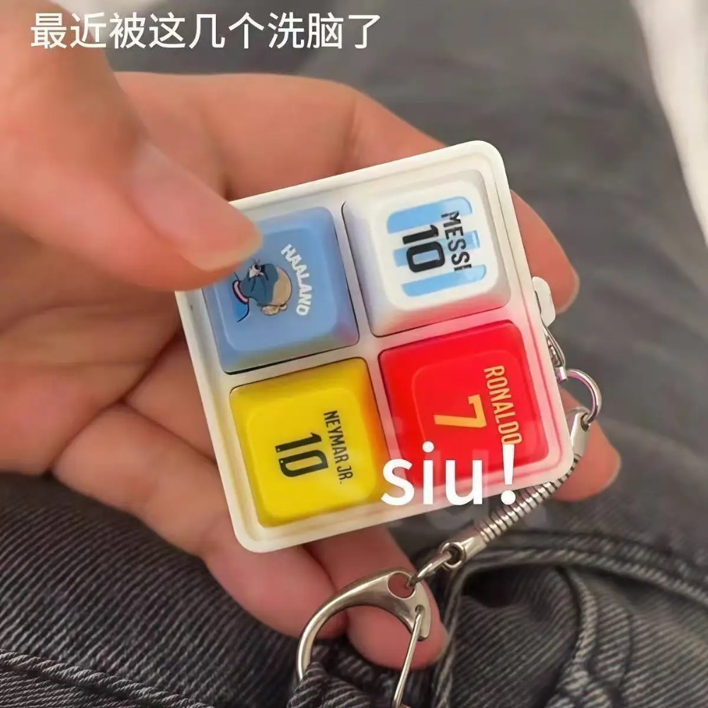 Haaland Fun Button Keychain So - Prank Toys review and price